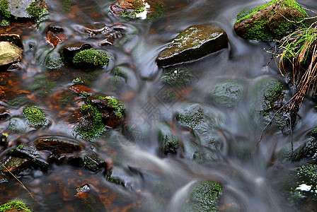 山区溪流动飞溅山脉树木苔藓瀑布荒野运动森林峡谷图片