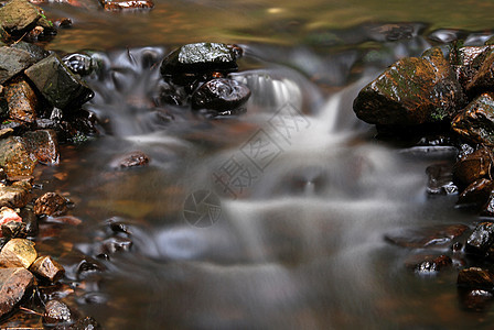山区溪树叶岩石树木荒野蒸汽运动峡谷苔藓公园石头图片
