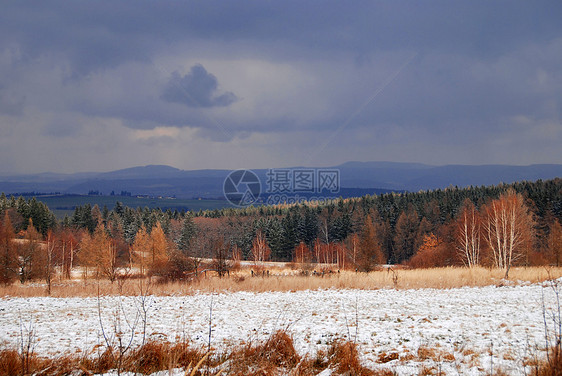 冬季风景雾凇树木白色季节冻结场地松树太阳草地雪片图片