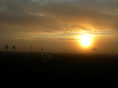 日出日落天空射线场地国家太阳树木远景风景背景图片