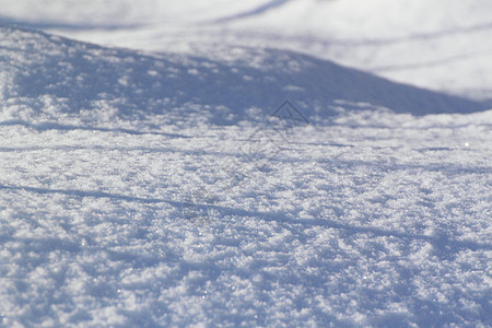 雪雪田雪花白色场地雪原图片