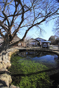 福吉山泉池塘八海蓝色之泉旅行背景图片