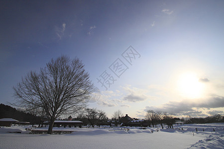 冬季伊瓦特山和雪田阴影粉末蓝色雪原地区天空图片