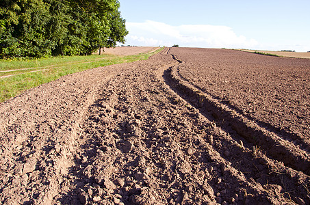 农场中夏季结束的耕种图片