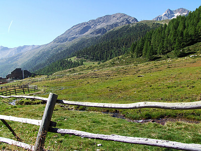 牧场草甸大山高山日程森林高原草地命令景观行政图片