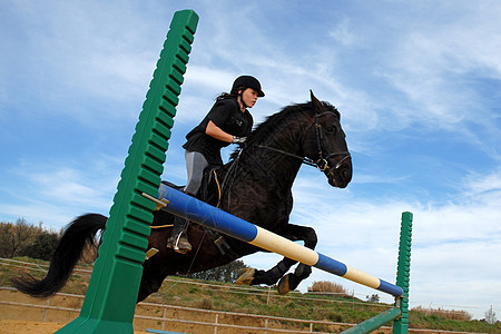 跳马太阳组织动物行动女孩训练天空运动骑马社会图片