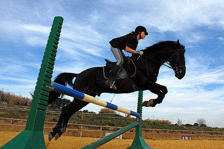 跳马运动训练竞赛黑色天空宠物太阳社会公民行动图片
