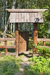 木棍阳光生长植物树林叶子林地便门农村地面木头图片