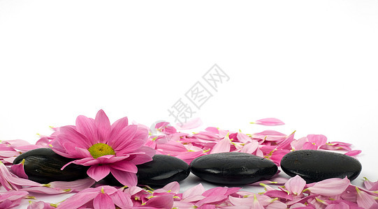石头和花瓣卫生按摩清晰度背景图片