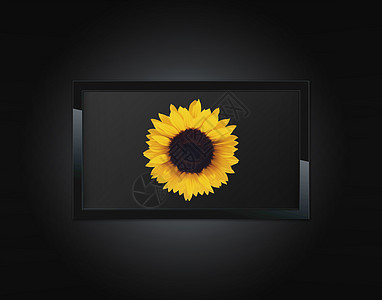 液晶面板屏幕薄膜控制板向日葵液体监视器展示宽屏技术视频图片