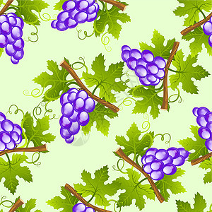葡萄无缝浆果艺术墙纸装饰品收成叶子葡萄园季节食物紫色图片