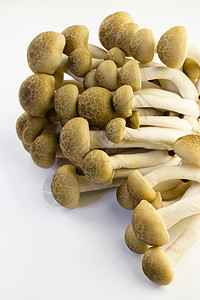 蘑菇房美食孢子营养素烹饪山毛榉蔬菜美味宏观食物团体图片