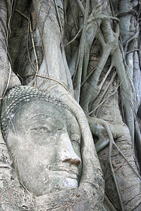 佛头冥想宗教精神砂岩信仰废墟文化地标纪念碑祷告图片