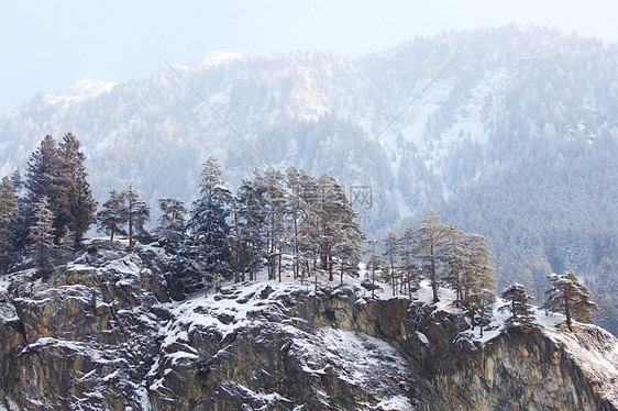 下雪树上季节首脑暴风雪太阳照明木头假期全景旅行高地图片