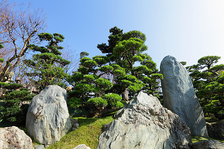 中国菜园植物反射公园锦鲤晴天照片园林花园园艺喷泉图片
