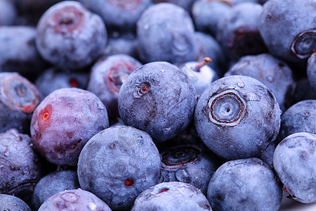 蓝莓饮食果汁季节美食覆盆子季节性食物营养团体蓝色图片