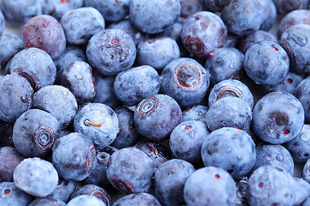 蓝莓水果味道果汁季节性美食季节蓝色饮食甜点团体图片