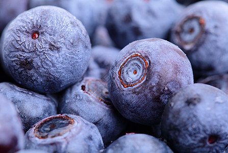 蓝莓食物宏观营养团体覆盆子季节性蓝色果汁饮食味道图片