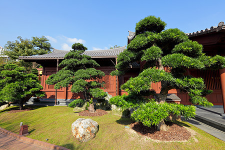 中国花园晴天照片绿色植物公园绿化园林园艺植物学锦鲤反射图片