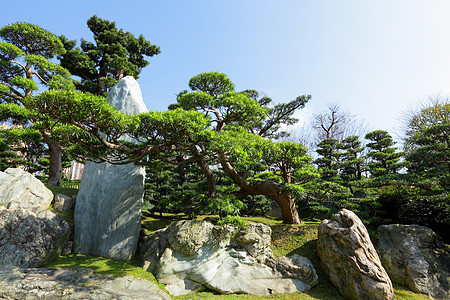 中国菜园喷泉园林照片公园绿化园艺植物学锦鲤绿色植物冥想图片