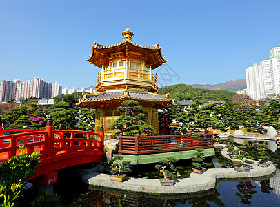 中国花园的金子馆金子锦鲤宝塔人行道池塘途径院子花园寺庙文化图片