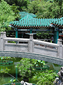 具有桥梁的中国传统花园池塘松树艺术植物分支机构天空小路花朵园艺寺庙图片