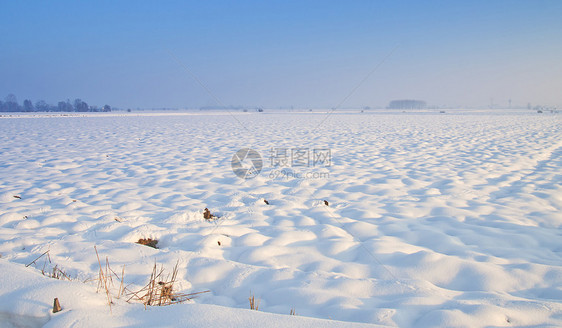 下雪景降雪植物群天气雾凇自然森林照明天空气候木头图片