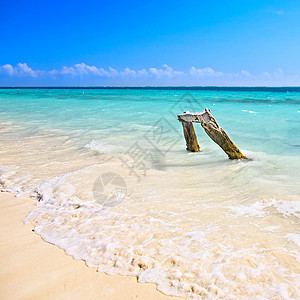 加勒比海的海滩阴影游客旅行日光浴天空场景波纹海岸线闲暇热带图片