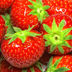 草莓背景养分宏观种子弹簧早餐水果甜点果汁浆果团体图片
