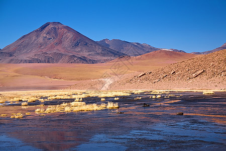 智利阿塔卡马地区里奥普塔纳和火山山脉寂寞旅游顶峰旅行地区地标地形荒野爬坡图片