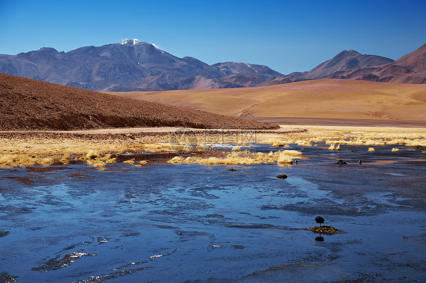 智利阿塔卡马地区里奥普塔纳和火山地形顶峰旅游寂寞山脉荒野爬坡气候沙漠天空图片