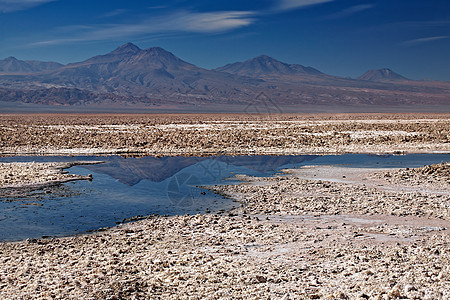 智利阿塔卡马环境荒野高原反射地区山脉盐滩寂寞沙漠图片