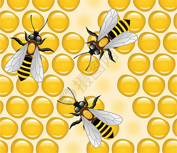 蜂蜜细胞的病媒工作蜜蜂金子昆虫宏观蜂窝黄色药品荒野保健领导棕色图片