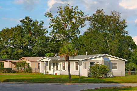 美国佛罗里达有树木的白屋图片