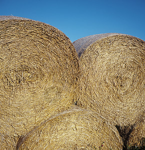 Hay 堆叠食物草地牧场金子太阳天空风景大麦阳光植物图片