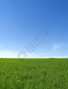 绿野园景植物风景摄影色彩草地天气蓝色自由场地图片