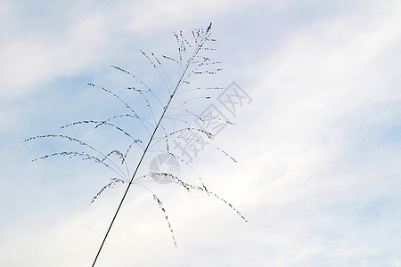 蓝天空背景太阳云景沉淀天蓝色环境季节阳光气候积雨天空图片