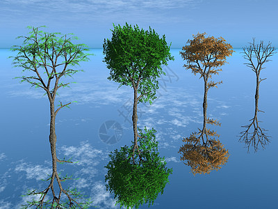 四季树树叶树木插图天空木头艺术环境季节性树干绿色图片