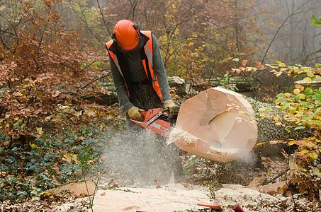 伐木工人和林木力量樵夫头盔森林木材伐木工安全职业危险男人图片