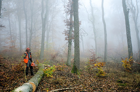 伐木工人和林木男人链锯樵夫手套工作伐木工木头安全职业工人图片