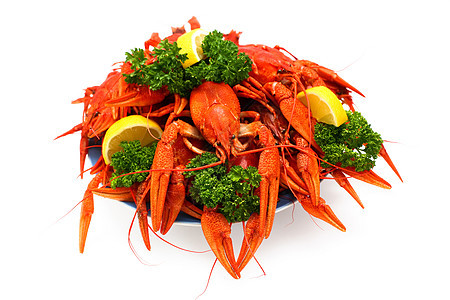 红龙虾食物午餐海鲜红色龙虾贝类美食图片
