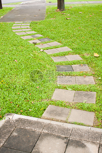 公园里的散步街道途径花园路面草地小路展示绿地花朵木头图片