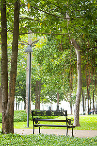 在公园的座椅上季节孤独橙子森林树叶叶子时间闲暇长椅装饰品图片