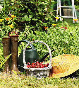 樱桃花园乡村手套蔬菜文化花园环境收成靴子柳条绿色图片