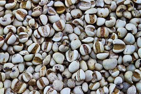 米勒小麦脉冲谷物黄色种子营养食物白色粮食团体图片
