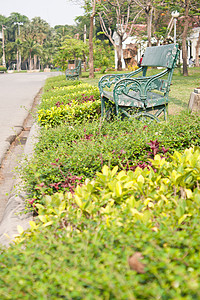 在公园的座椅上人行道场景季节植物休息车道花园衬套叶子椅子图片