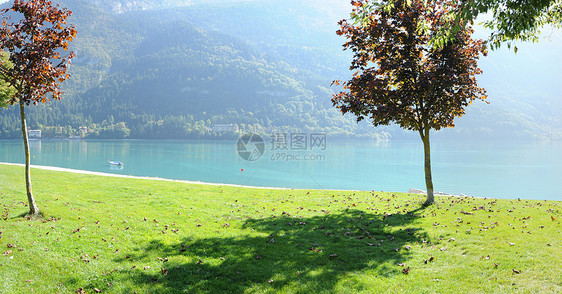 蓝湖草地场景蓝色森林风景旅行绿色公园支撑季节图片