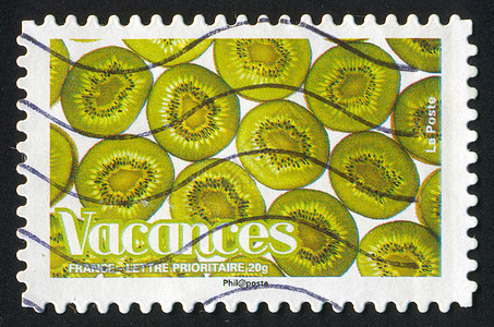 基维斯海豹植物群假期古董柔软度胎儿收成味道水果产品图片