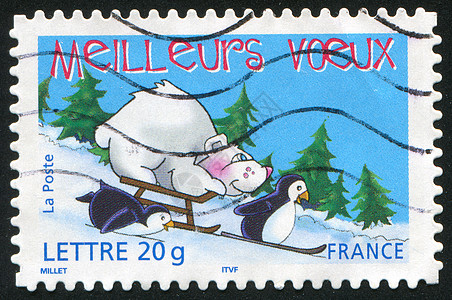 北极熊企鹅雪橇和山羊背景
