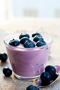 酸奶中提取蓝莓图片